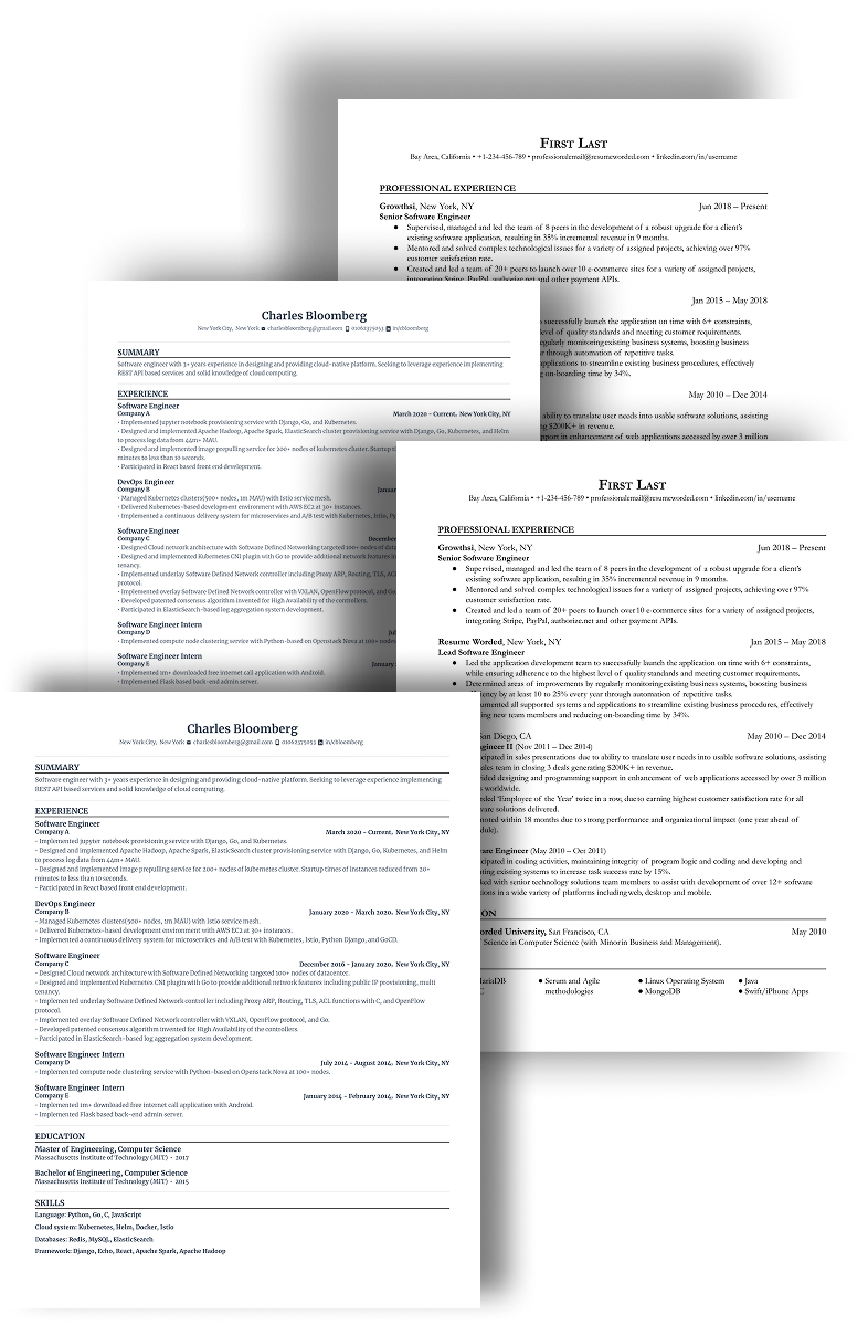 Resume Builder Interface
